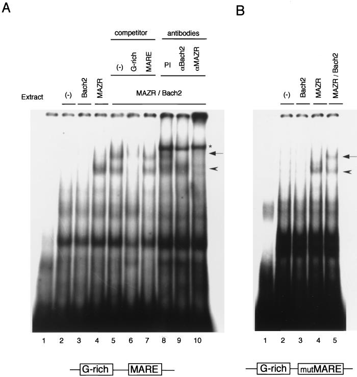 FIG. 10