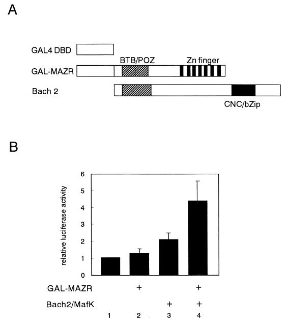 FIG. 11