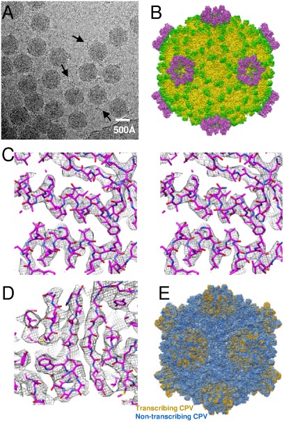 Fig. 2.