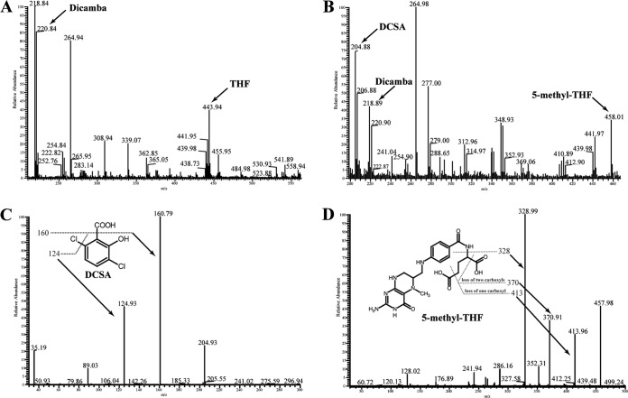 FIG 3