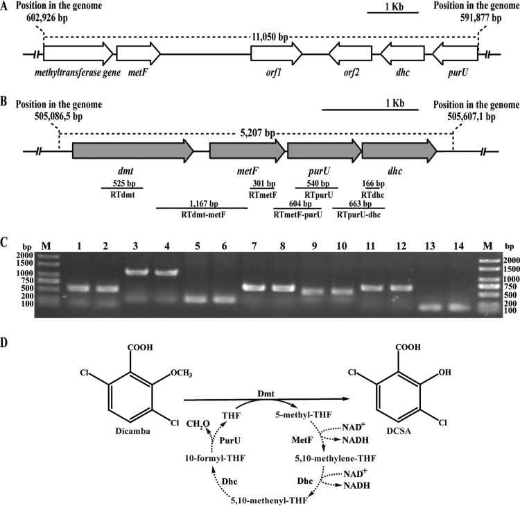 FIG 1