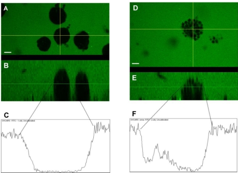 Figure 9.