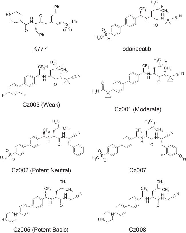 FIG 1