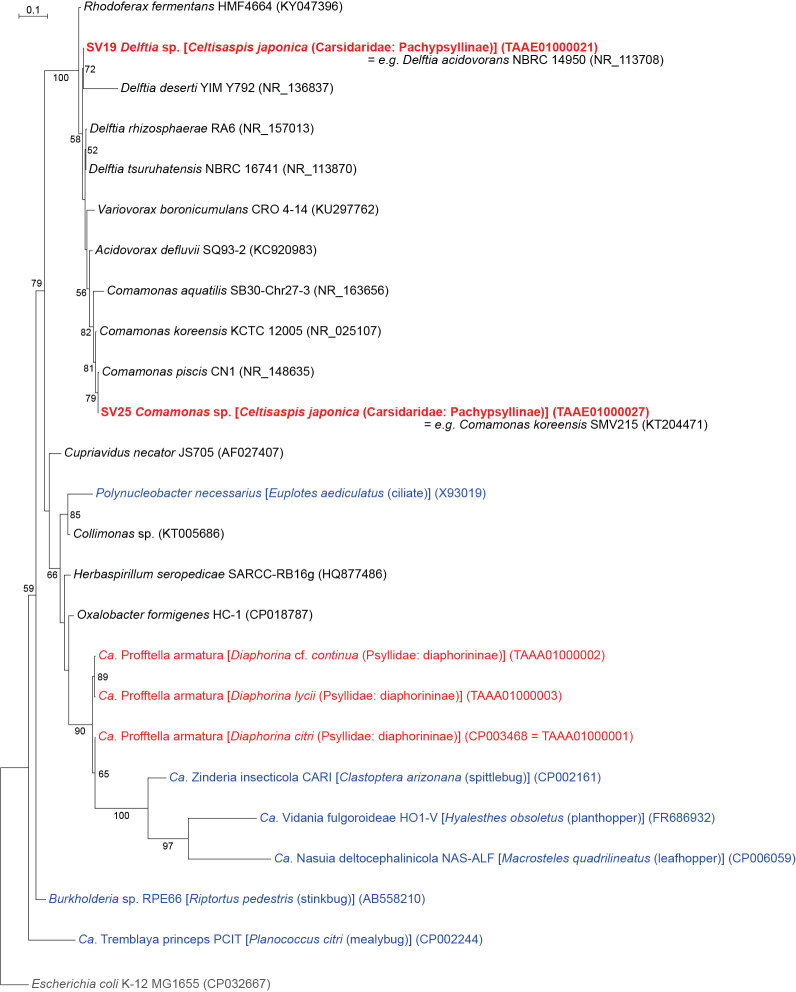 Fig. 6.