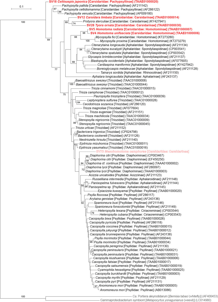 Fig. 2.