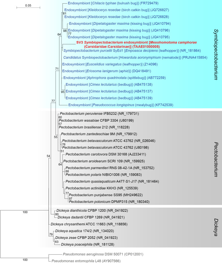 Fig. 4.