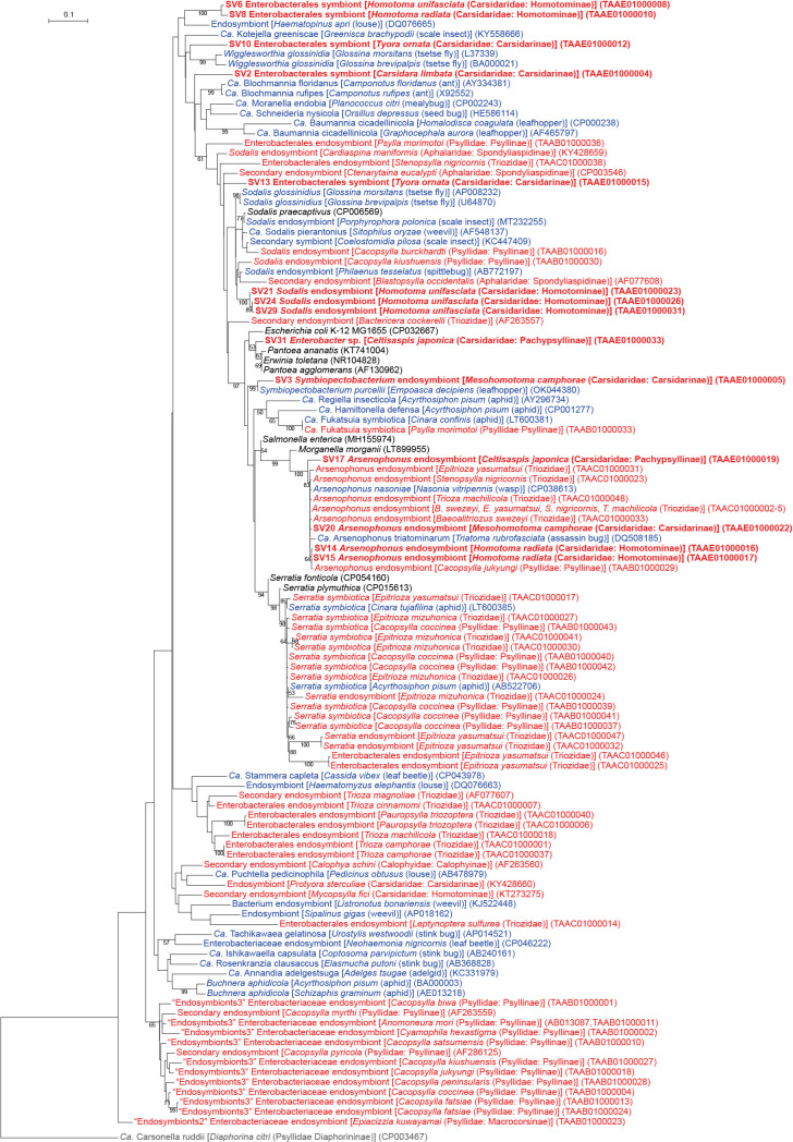 Fig. 3.