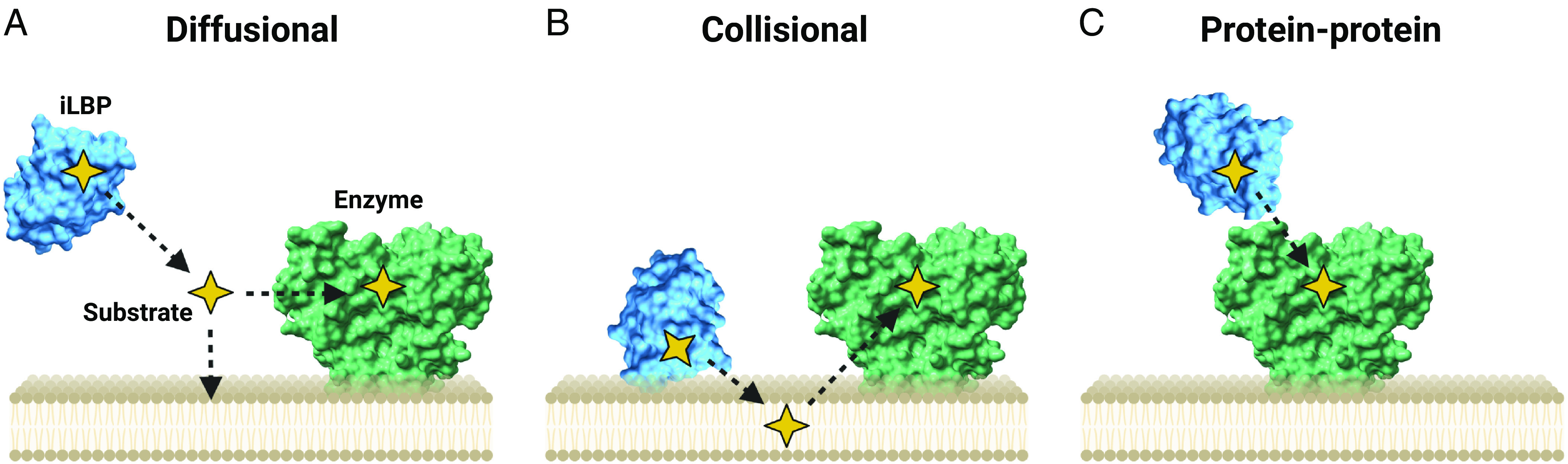 Fig. 7.