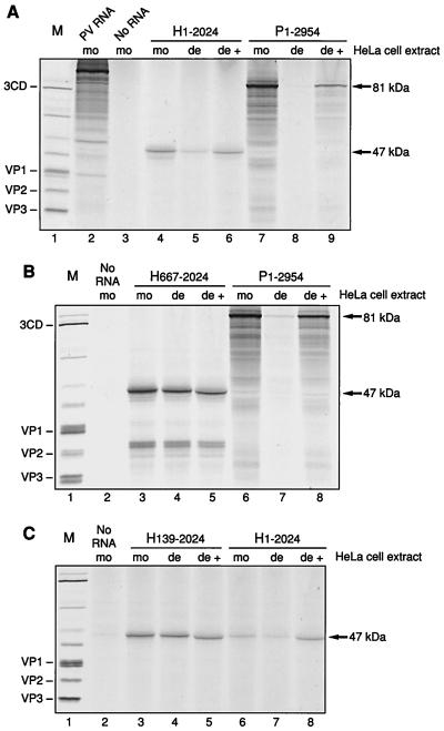 FIG. 6