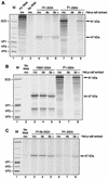 FIG. 6