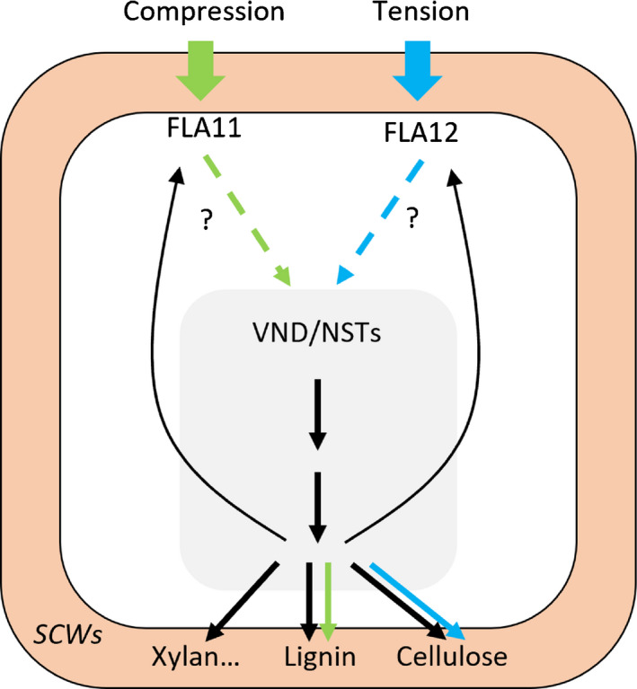 Fig. 9