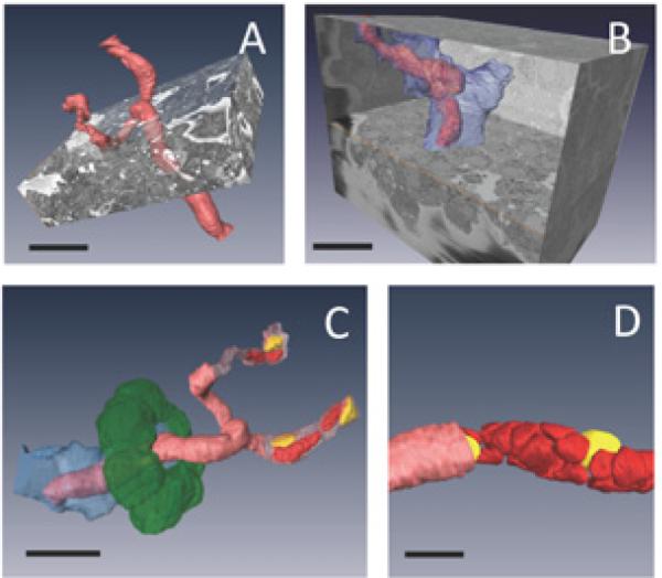 Fig. 4