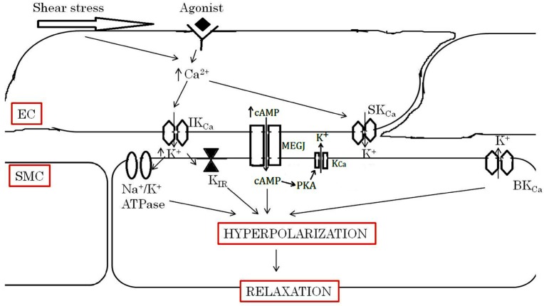 Figure 1: