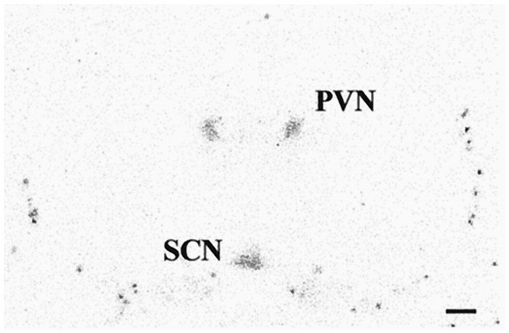 Fig. 10.