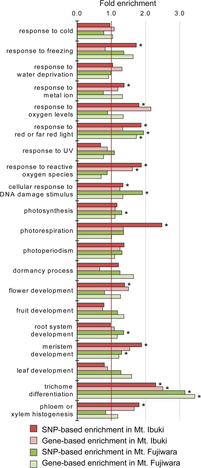 Fig 5