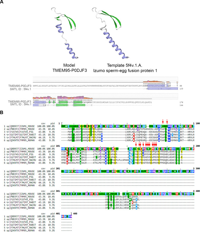 Figure 3—figure supplement 2.