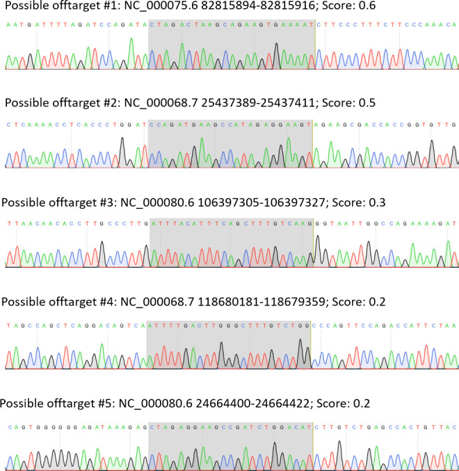 Figure 1—figure supplement 1.