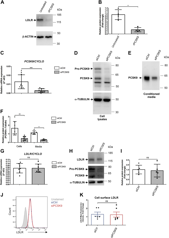 Figure 5