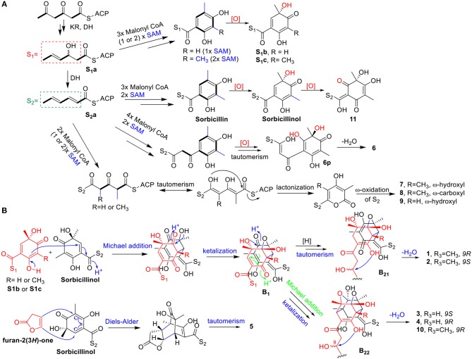 Figure 10