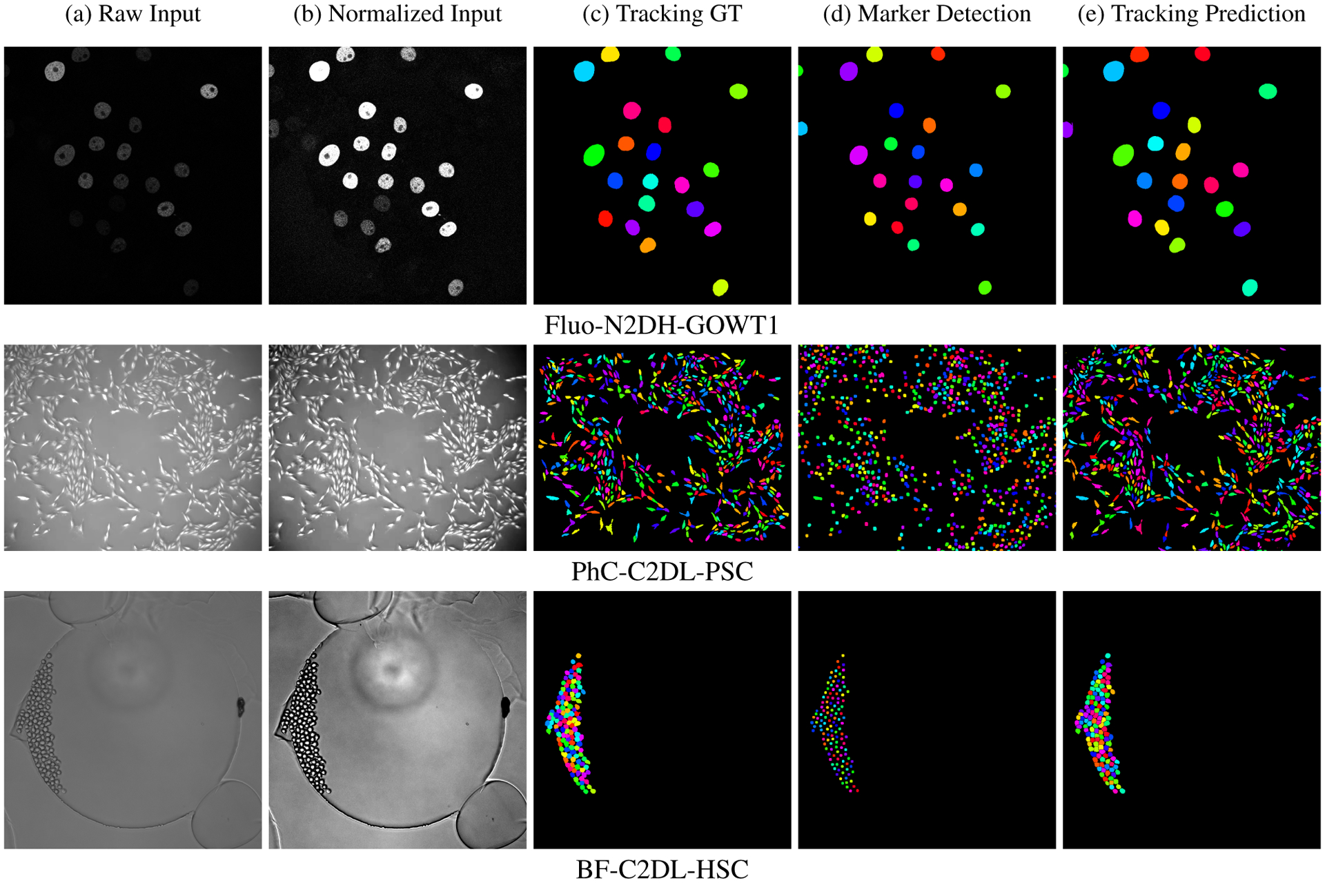 Figure 4: