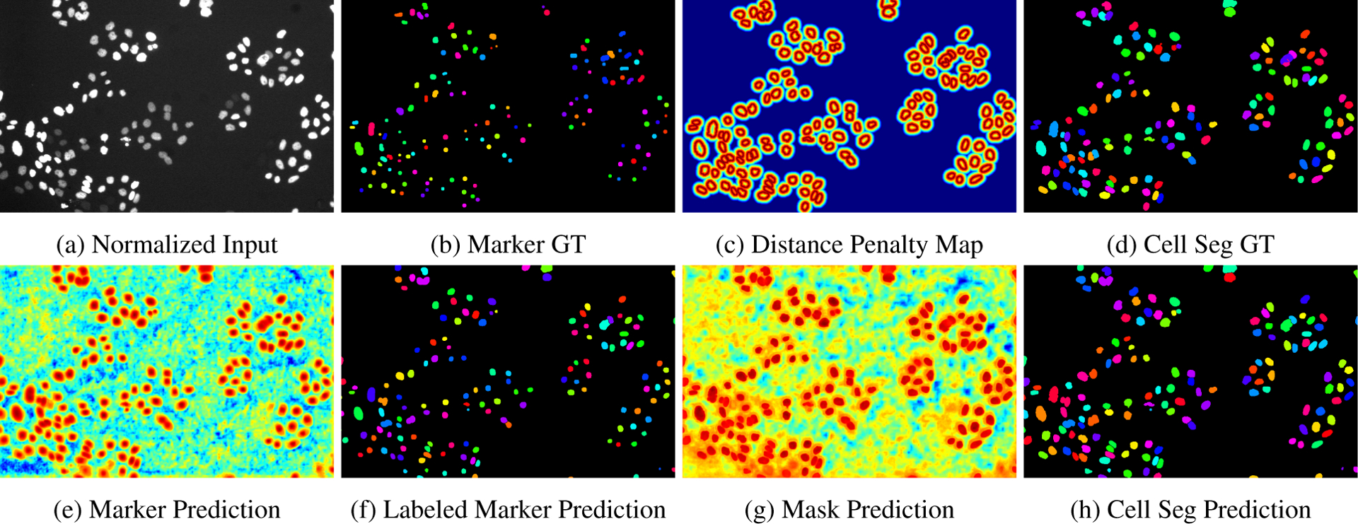 Figure 2: