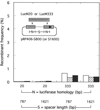 FIG. 6