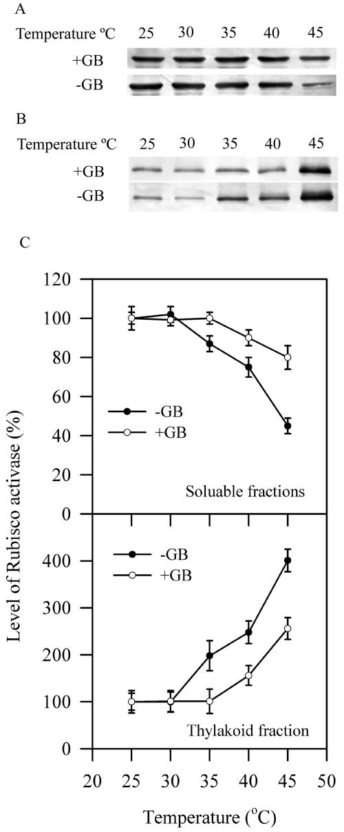 Figure 10.