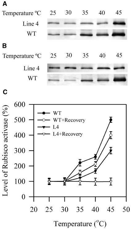 Figure 9.