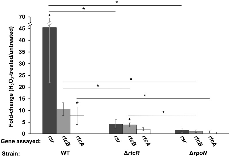 FIG 5