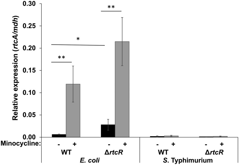 FIG 12