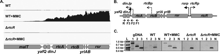 FIG 6