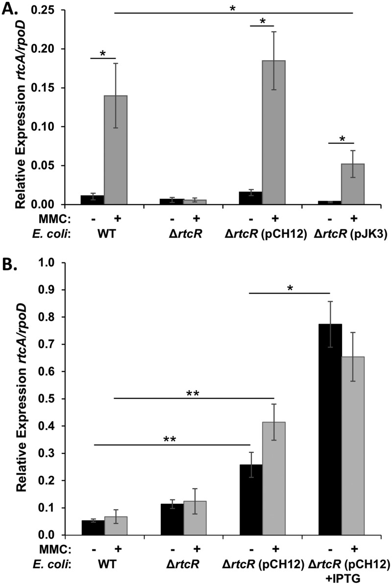 FIG 11