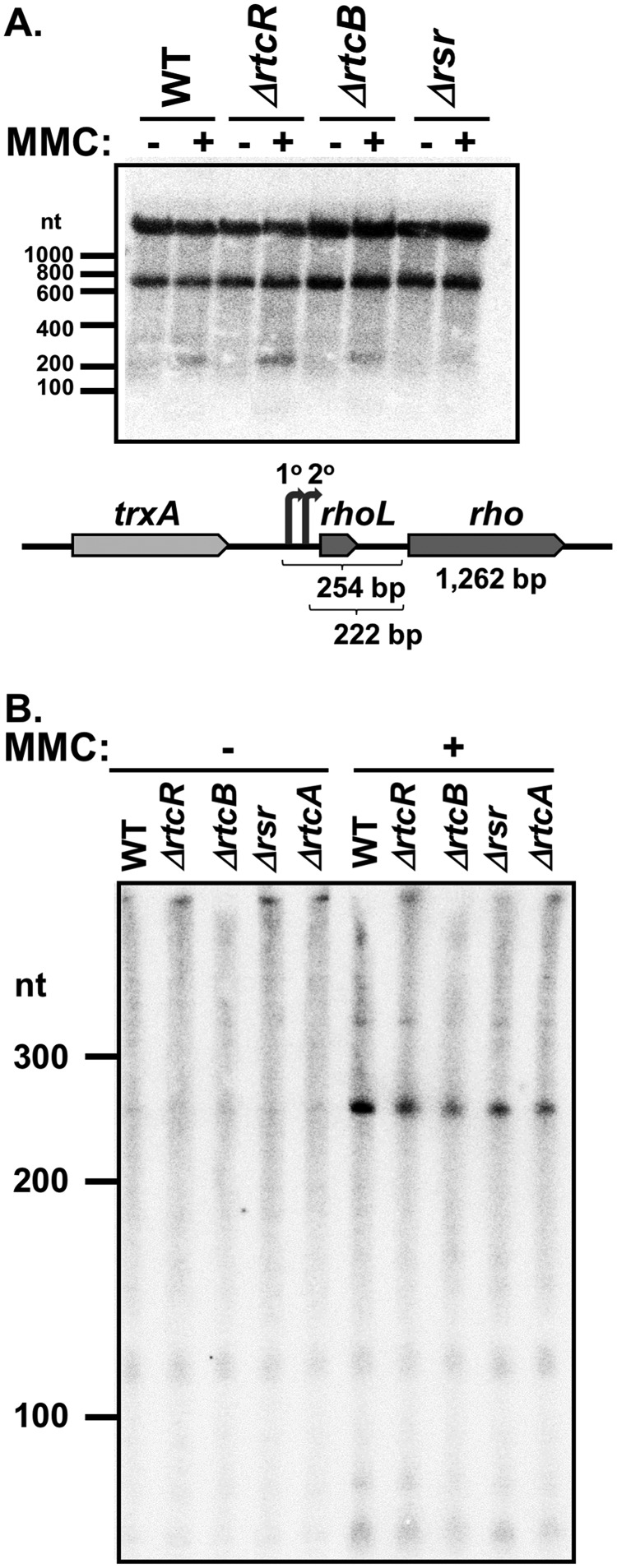 FIG 7