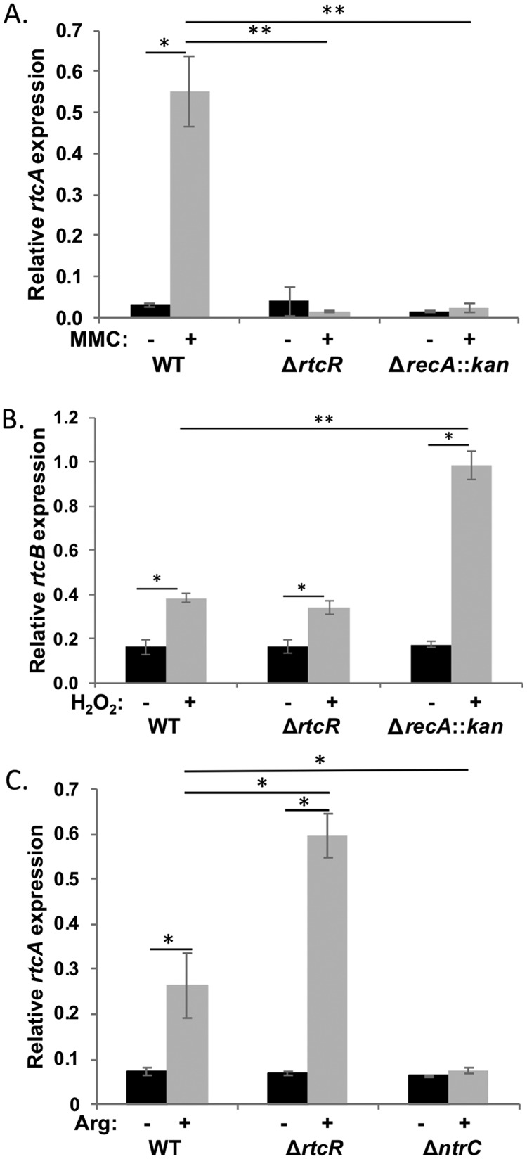 FIG 3