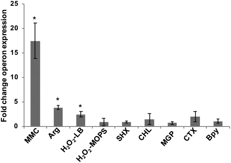 FIG 2