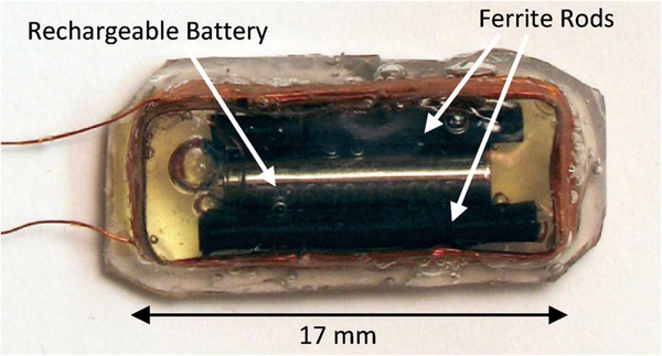 Fig. 7