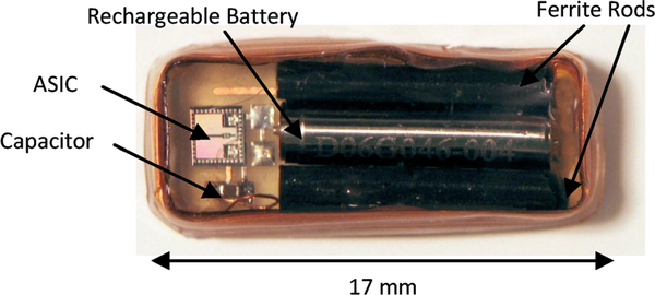 Fig. 18