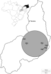 Fig. 4