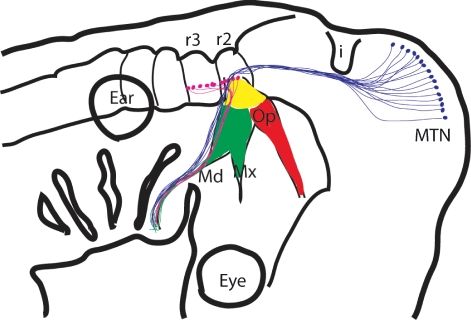 Fig. 2