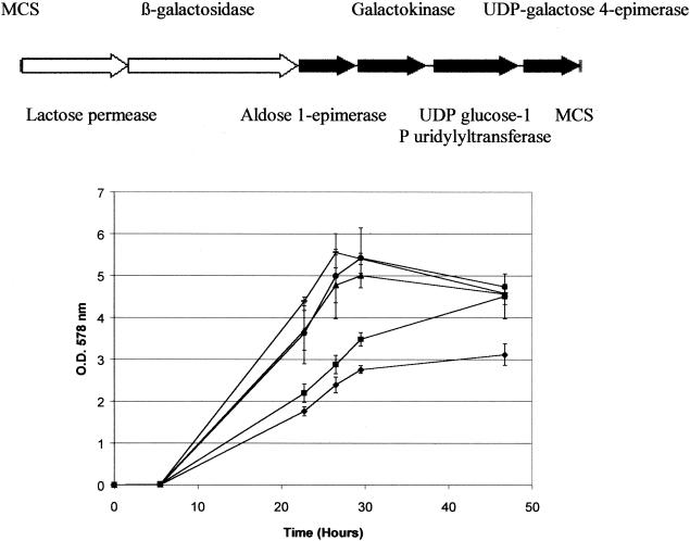 FIG. 2.