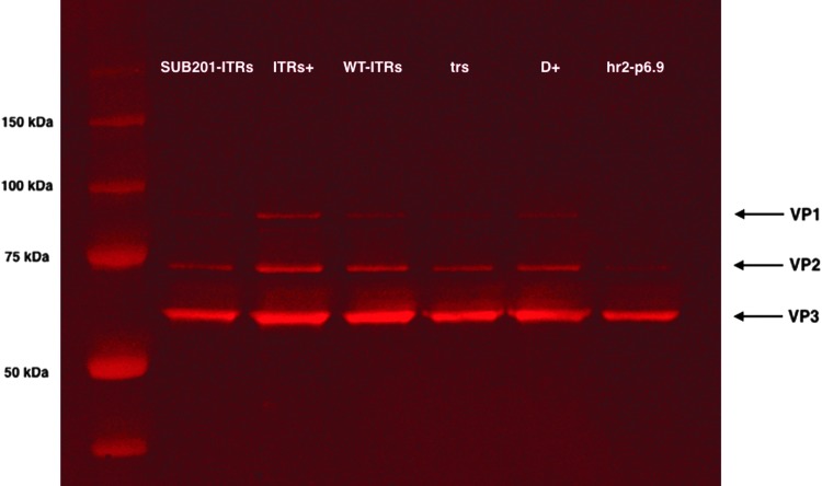 Figure 6.