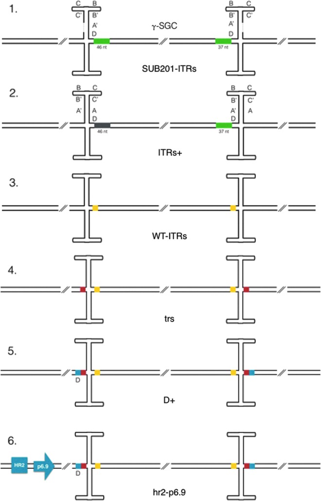 Figure 1.