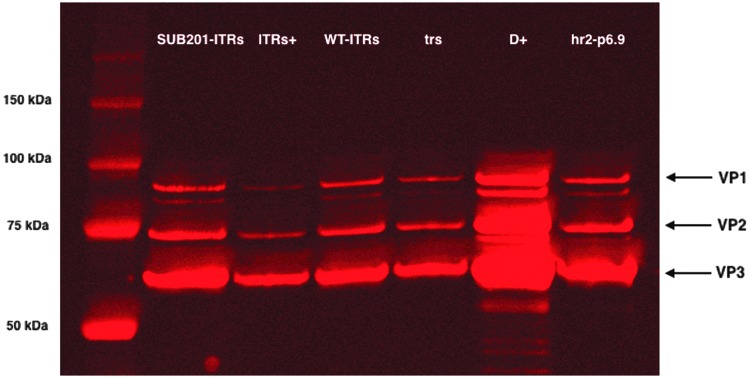 Figure 5.