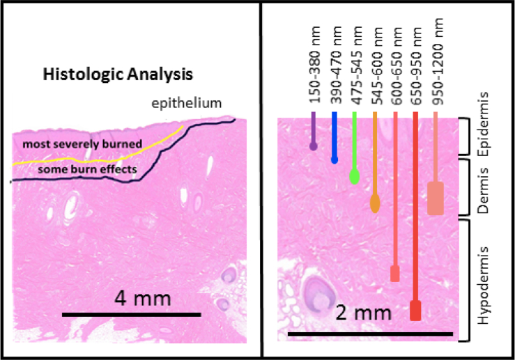 Fig. 7