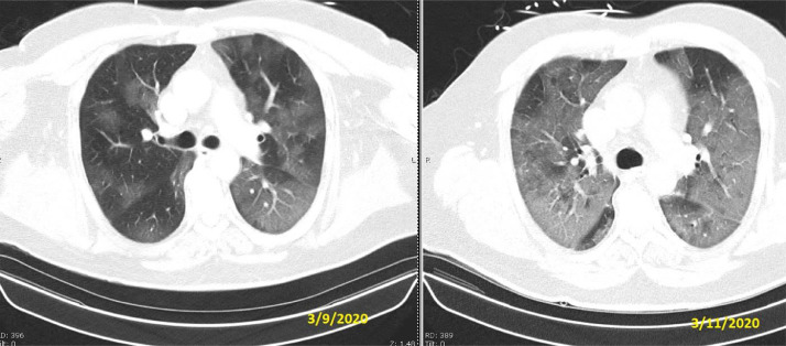 Fig. 8