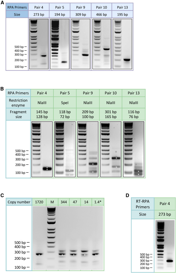 Figure 2