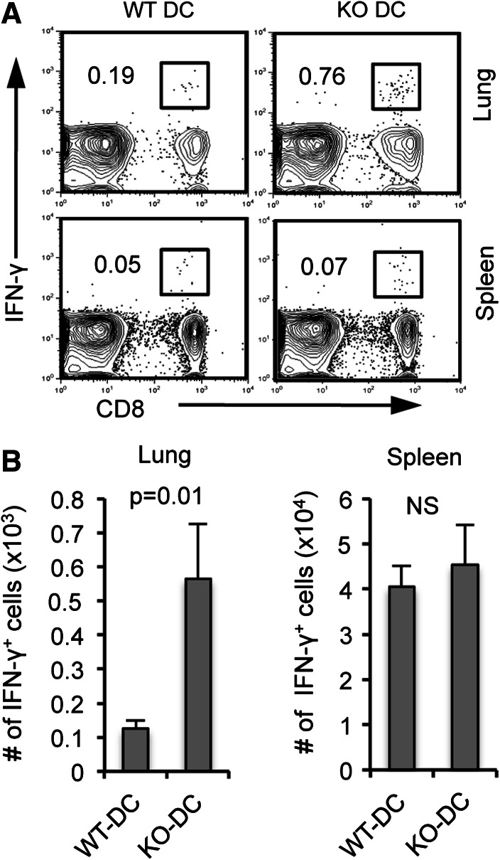 Fig. 6