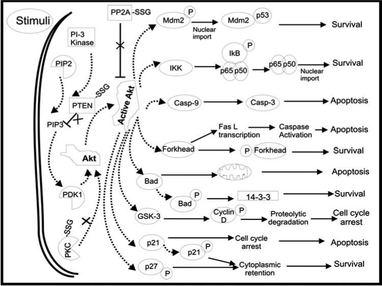 FIG. 7.