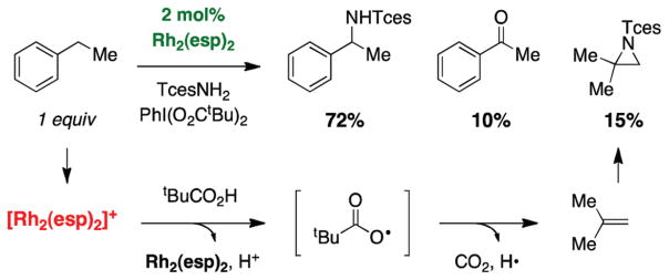 FIGURE 24