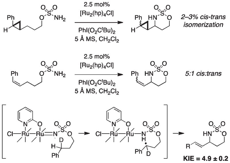 FIGURE 19